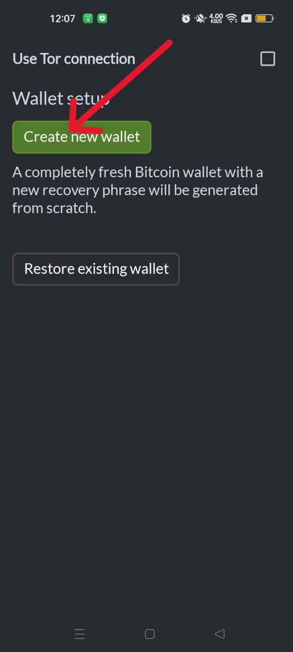 Create New Wallet Screen