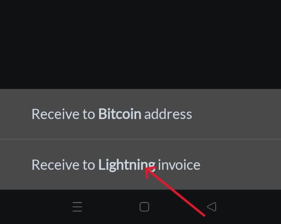 Lightning Invoice