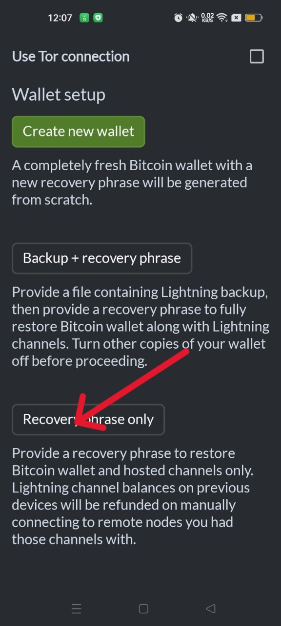 Restore Wallet Steps 2