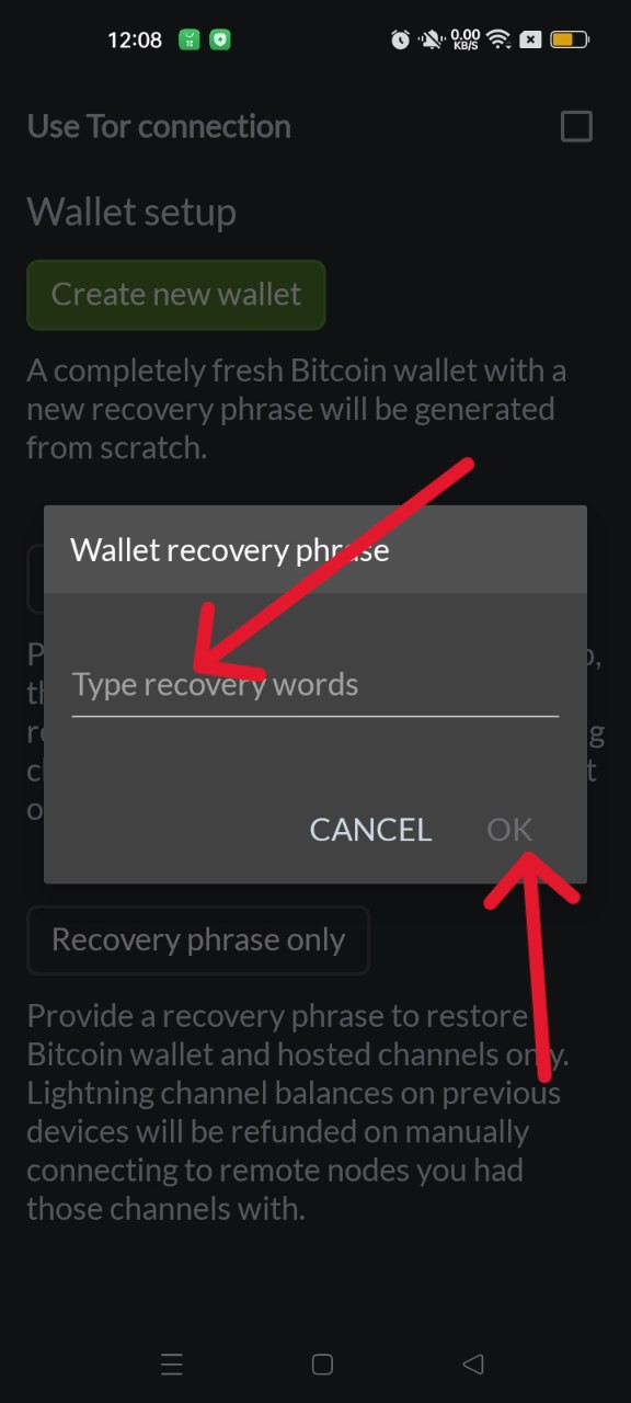 Restore Wallet Steps 3