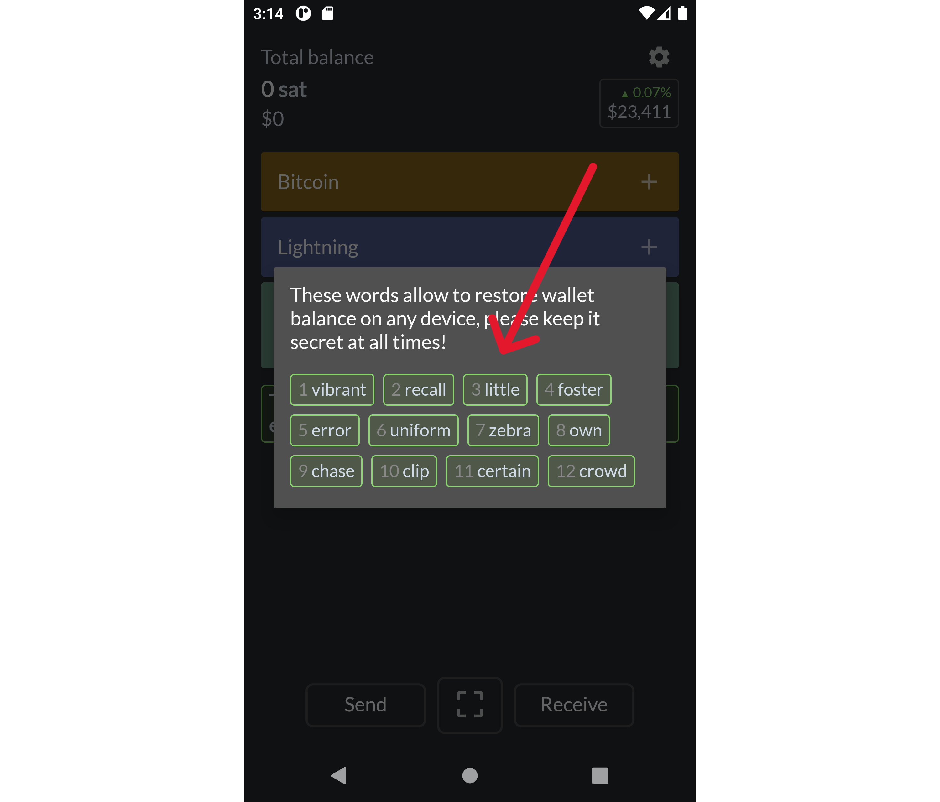 Recovery Phrase Screen