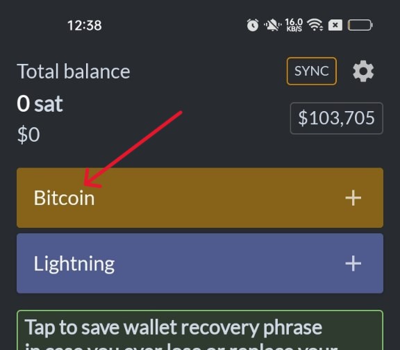 On-Chain Receive